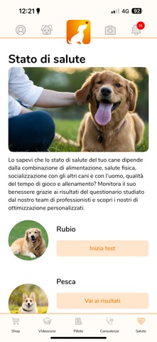 Teradog screenshot