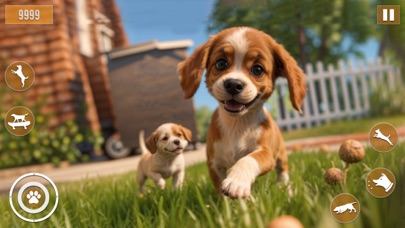 Dog Simulator Pet Puppy Animal Screenshot