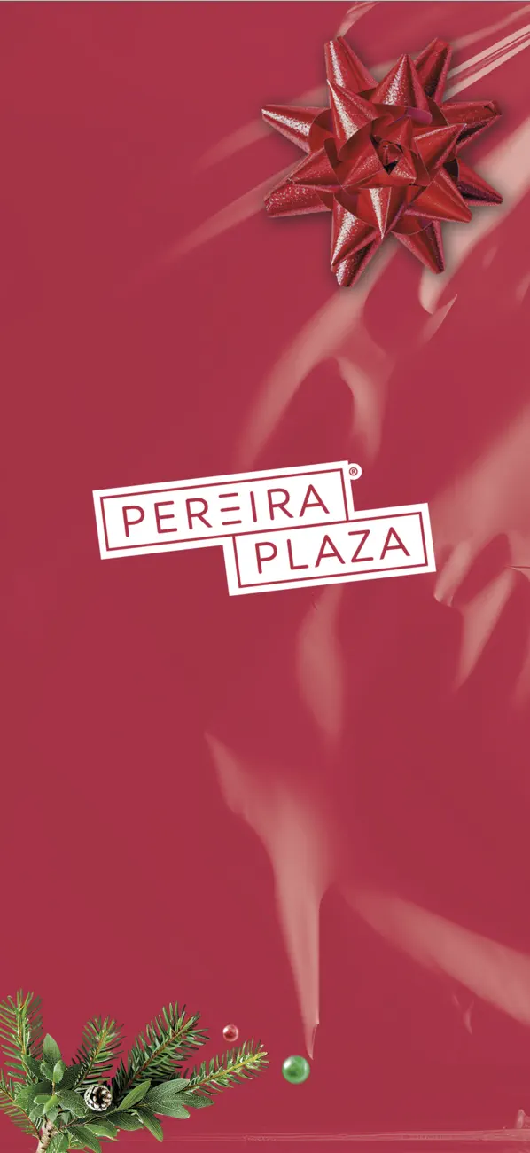Screenshot #2 pour Colores Navidad Pereira Plaza