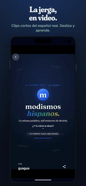 Modismos Hispanos screenshot 4