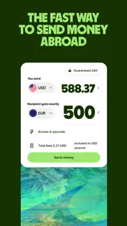 wise - global money iphone images 2