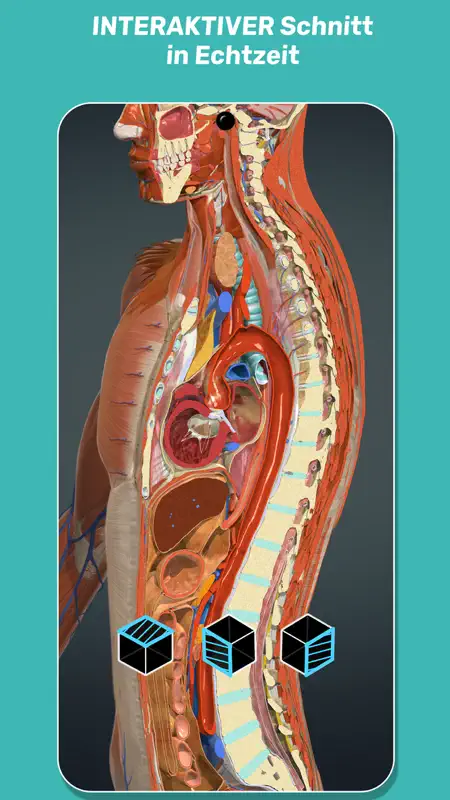 Anatomy Learning - 3D Atlas screenshot 4 of 7