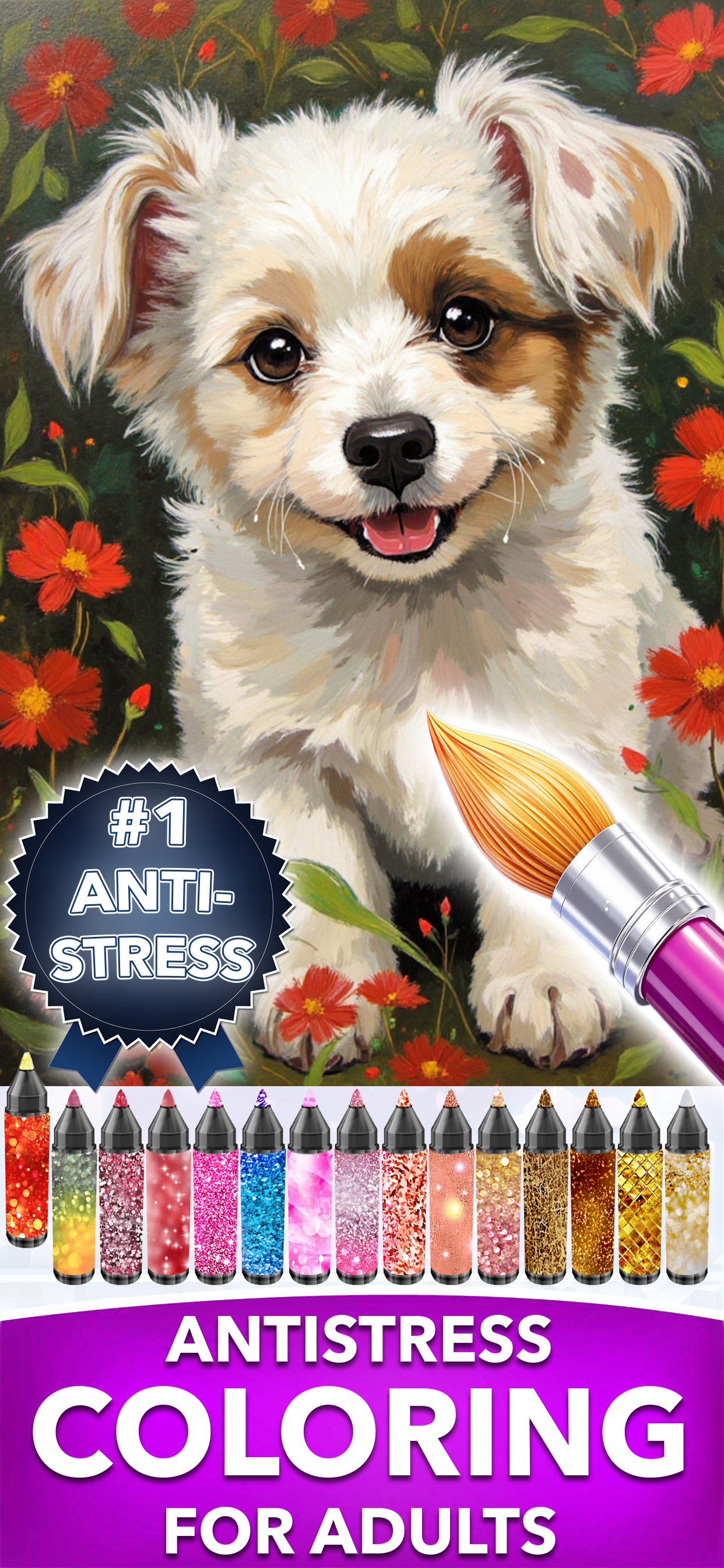 AntiStress Adult Coloring Book