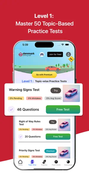 Denmark Driving Test screenshot 4