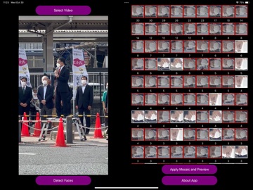 Useful Video Mosaic PRO iPad screenshot