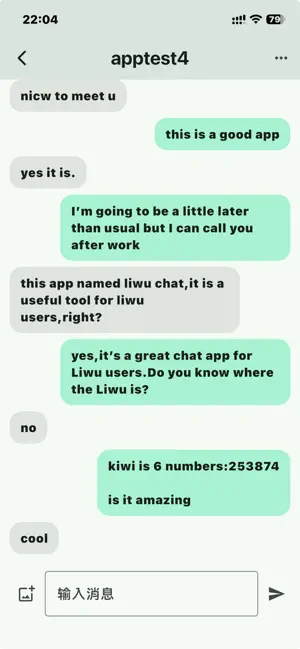 Liwu Chat screenshot 4