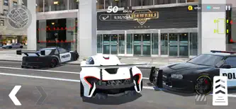 Car Driving Master:Police Race screenshot 4