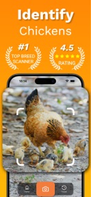 Chicken Identifier – RoostScan screenshot