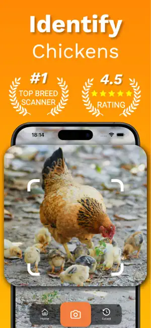 Chicken Identifier – RoostScan screenshot 1