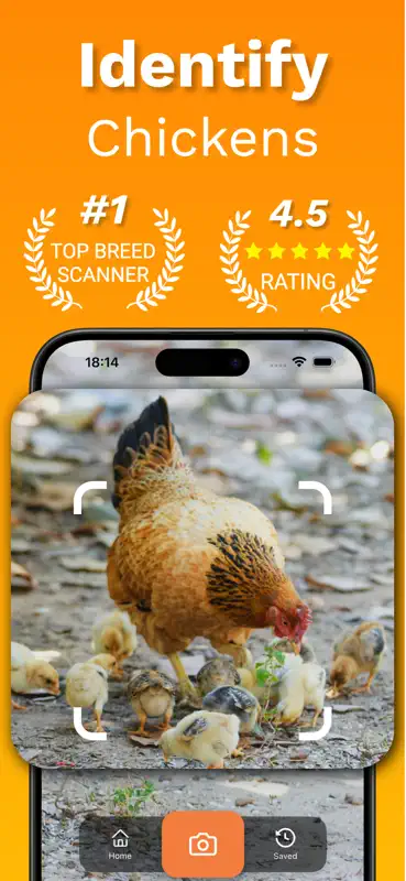 Chicken Identifier – RoostScan screenshot 1 of 8