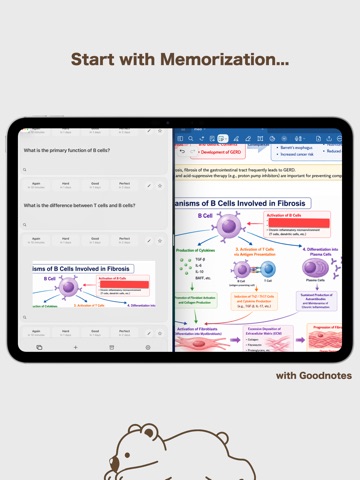 Kiokuma: Handwritten Flashcard iPad screenshot