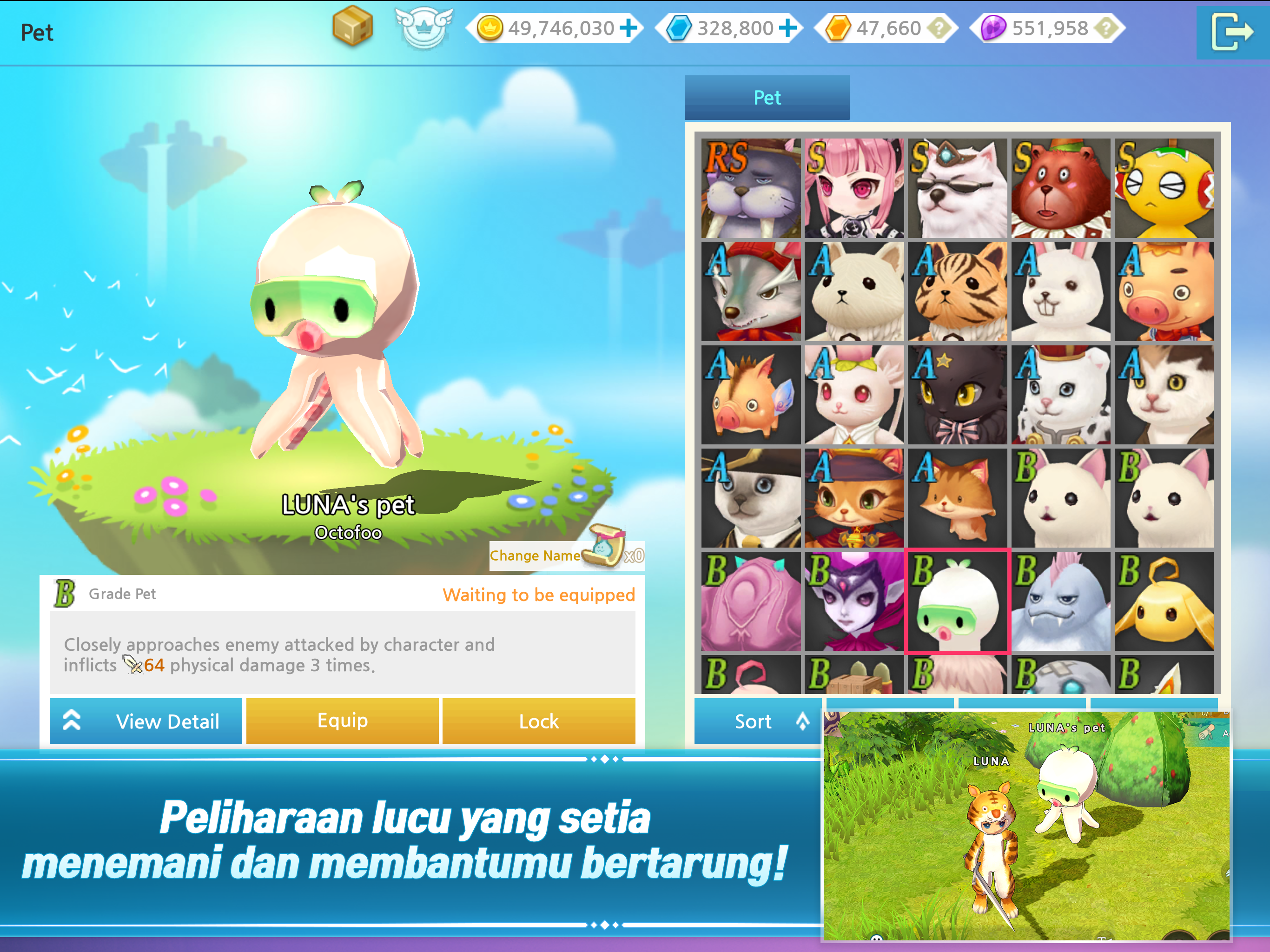 LunaM : ID