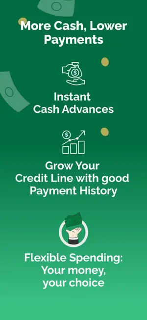 CASH 1 LOANS screenshot 2