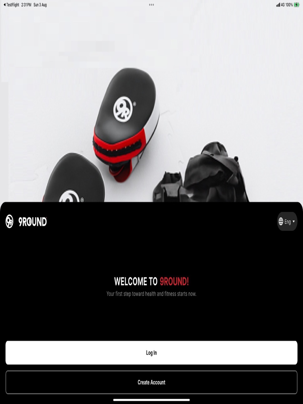 iPad screenshot