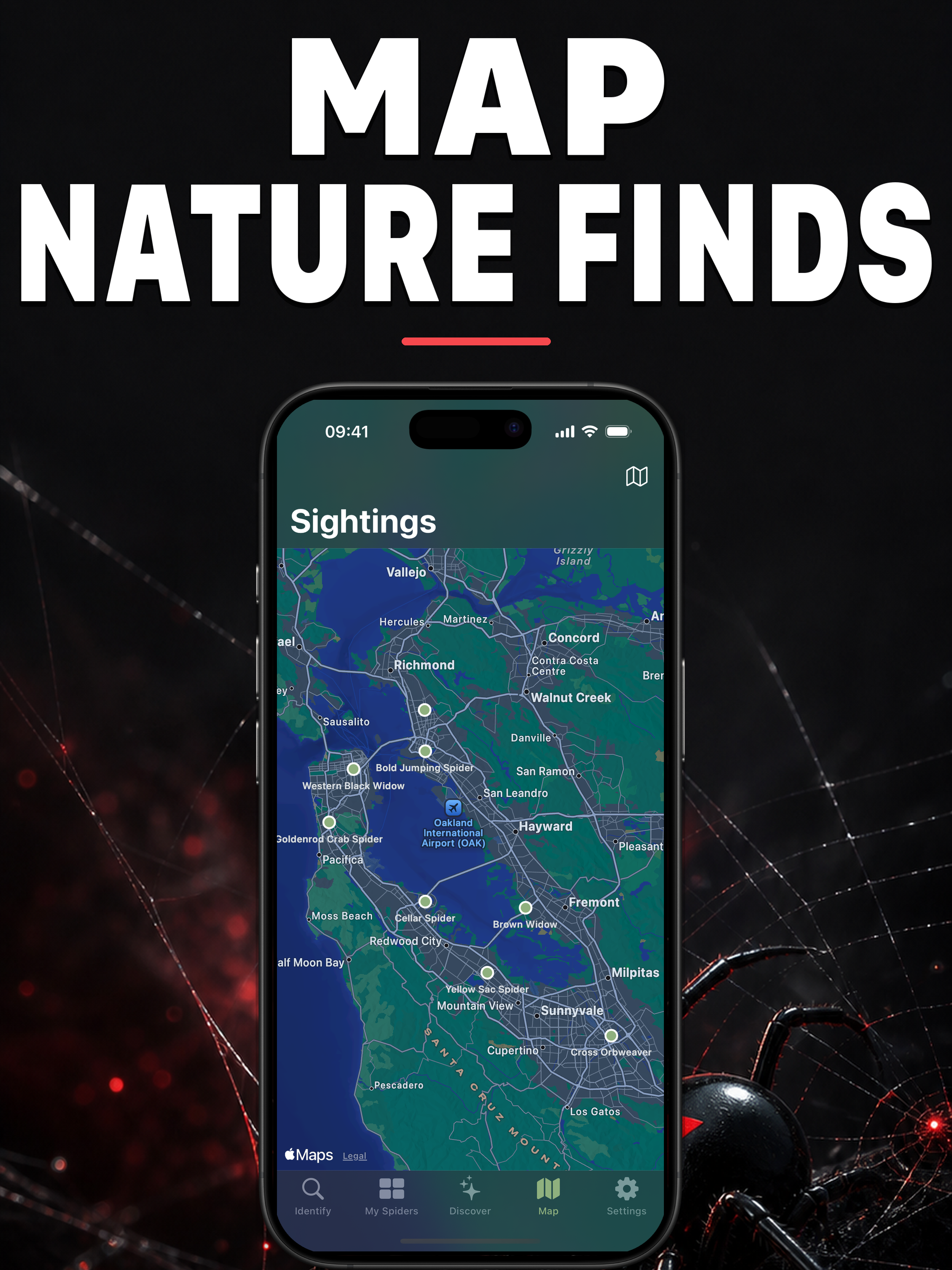 Spidr AI: Spider Identifier