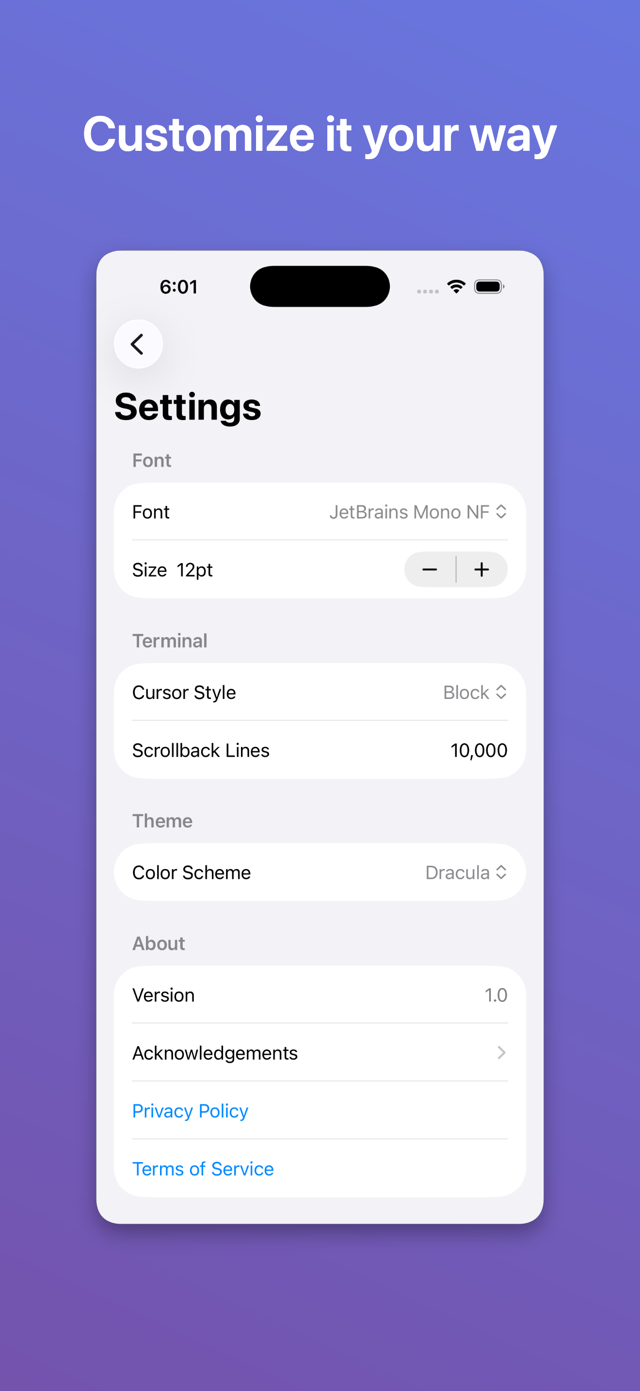 Spectty: Terminal