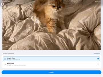 to-GIF iPad screenshot