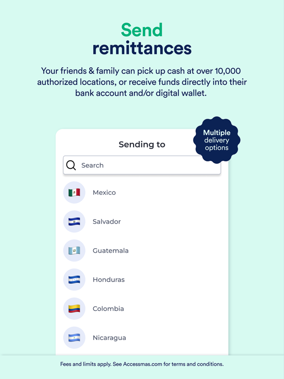 AccessMas iPad screenshot 5 - Finance app