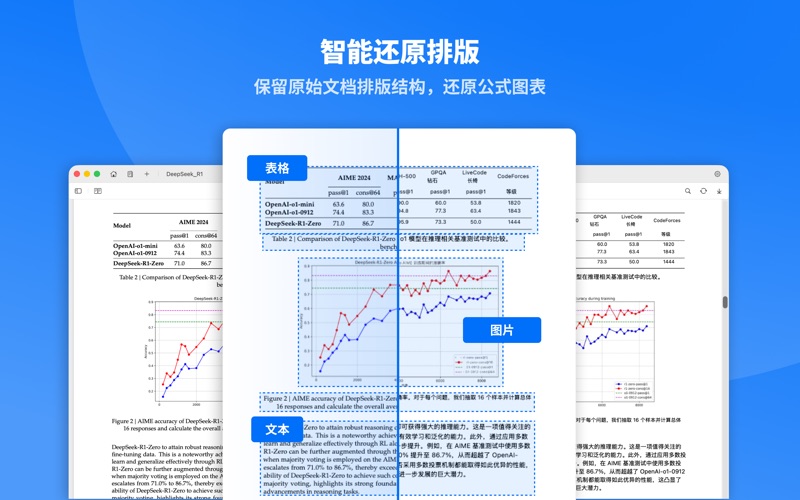 Doco Translate：你的专属 AI PDF 翻译器 screenshot