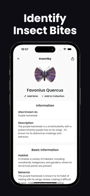 Insect Identifier - Insectby screenshot 3