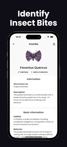 Insect Identifier - Insectby Screenshot 3 of 4