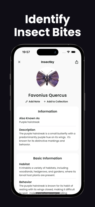 Insect Identifier - Insectby Screenshot 3 of 4