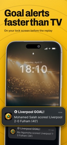 ScoreBeeper Live Soccer Scores screenshot