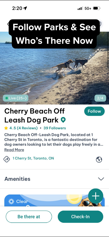 DogPack: Dog Friendly Spots screenshot 6