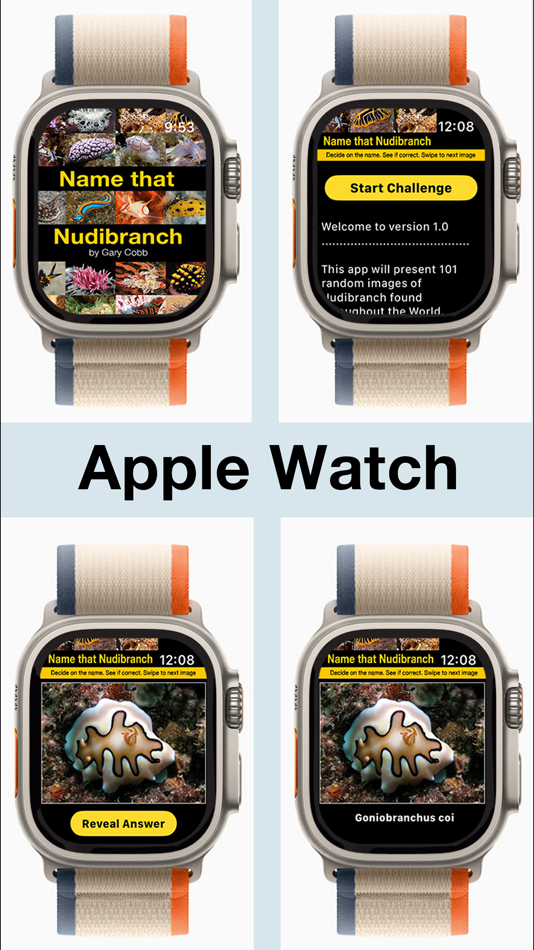 #5. Name that Nudibranch (iOS) By: Gary Cobb