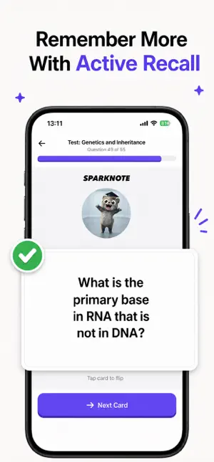 Study & Flashcards: Sparknote screenshot 2