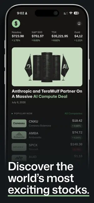 The New Money screenshot 2