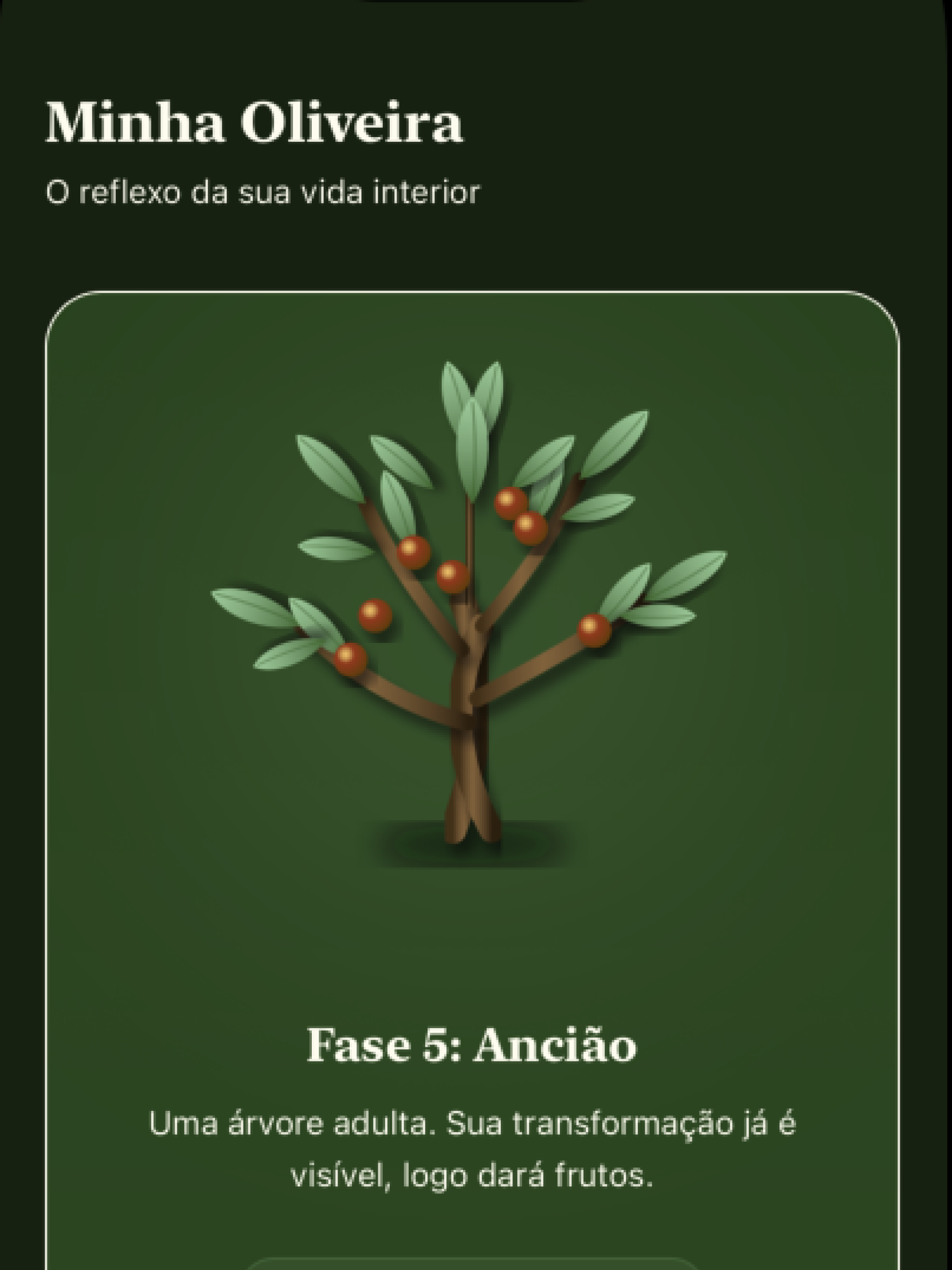 Comunidade Divinamente screenshot 6