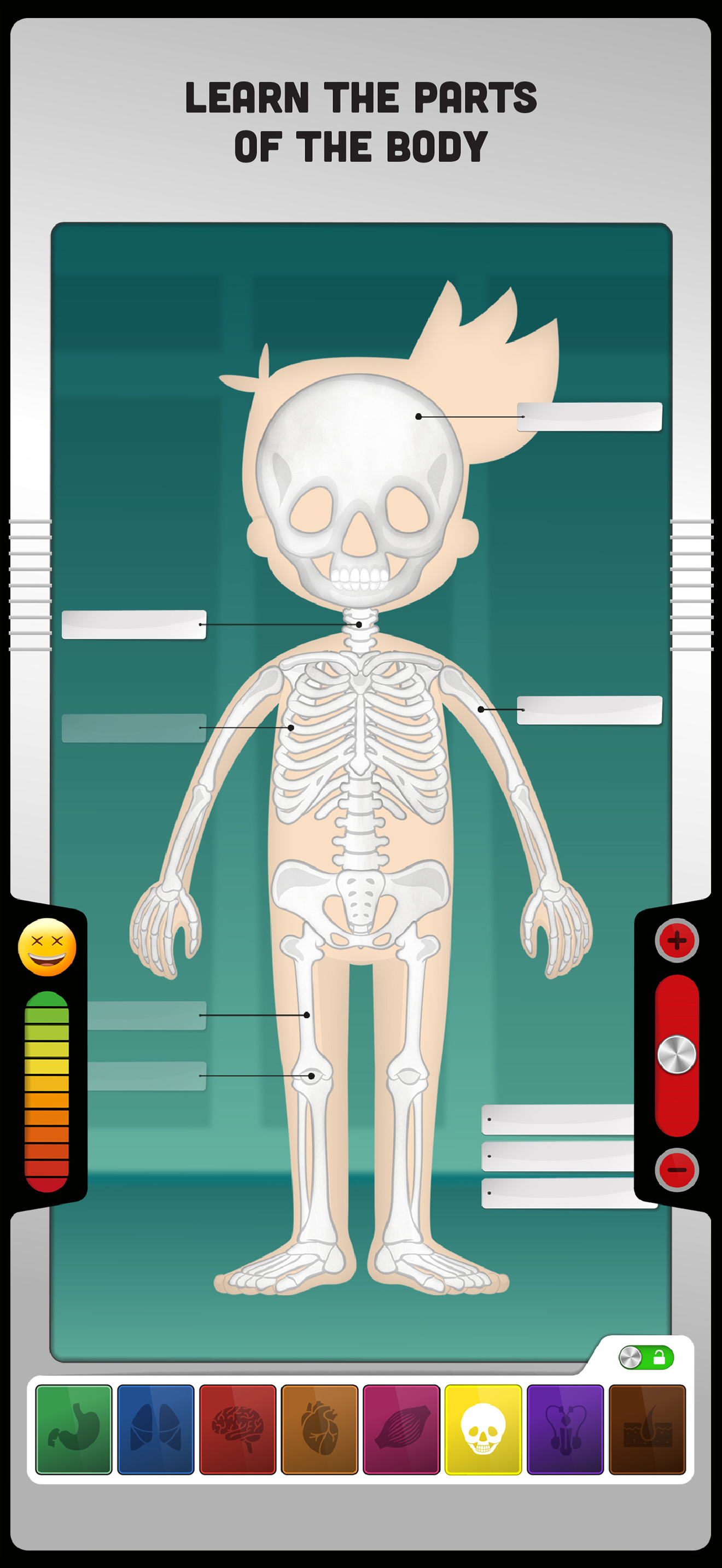 The Human Body: Learn Anatomy