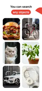 Lens Photo Scan・Identifier All screenshot #1 for iPhone