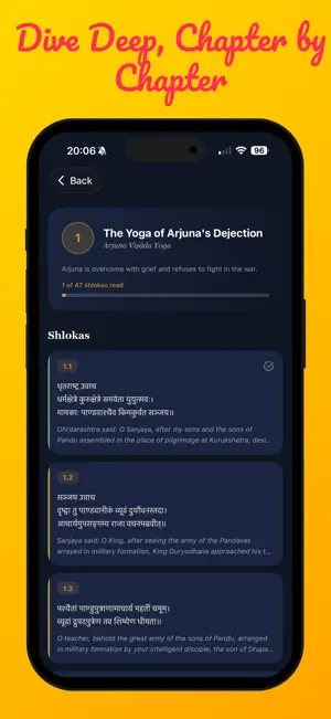 Bhagavad Gita Companion screenshot 2