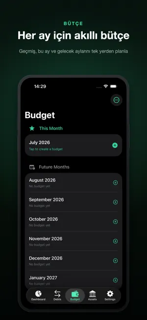 Parametre: Budget, Gold, Debt screenshot 2