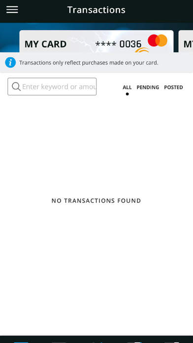 EnergyDEBIT Screenshot