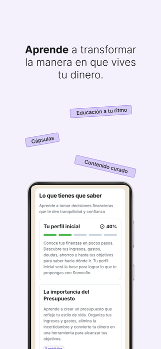 Somosfin Screenshot 3 of 5