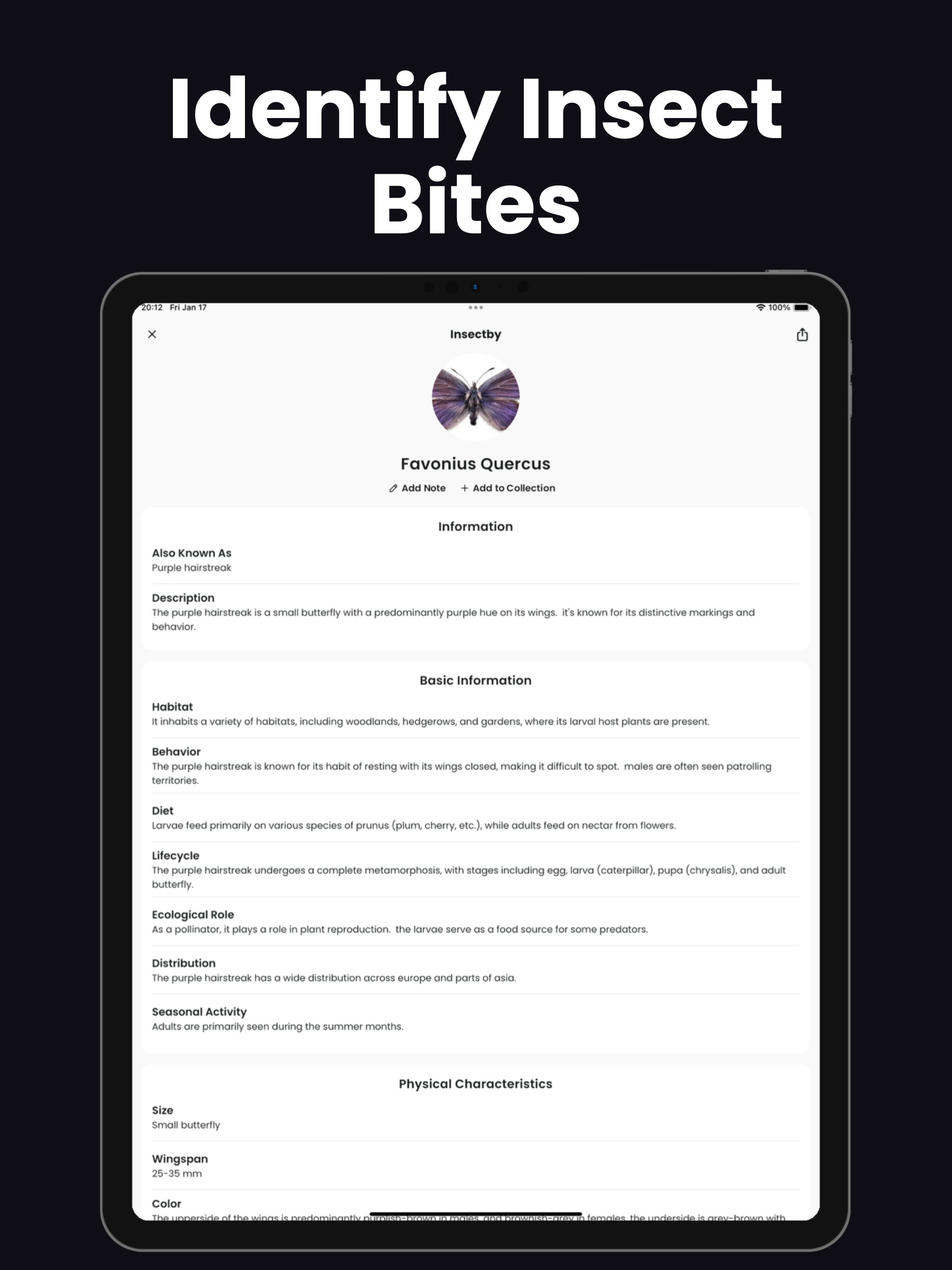 Insect Identifier - Insectby