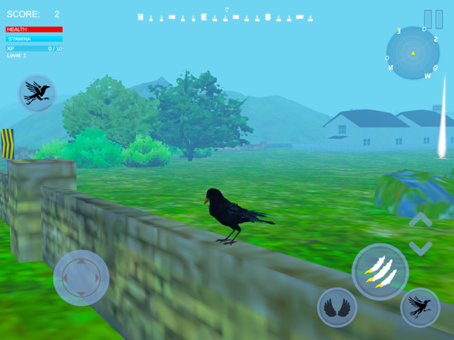 ‎Raven Crow Flight Simulator 3d Screenshot