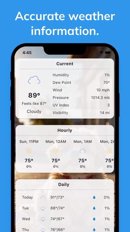 Woof Weather - Dog Forecast