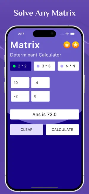 Matrix Determinant Calculator screenshot 2