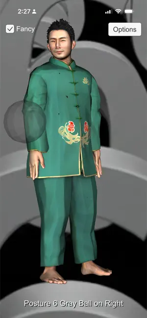 Tai Chi Posture Number screenshot 2