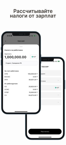 InfoBuh screenshot