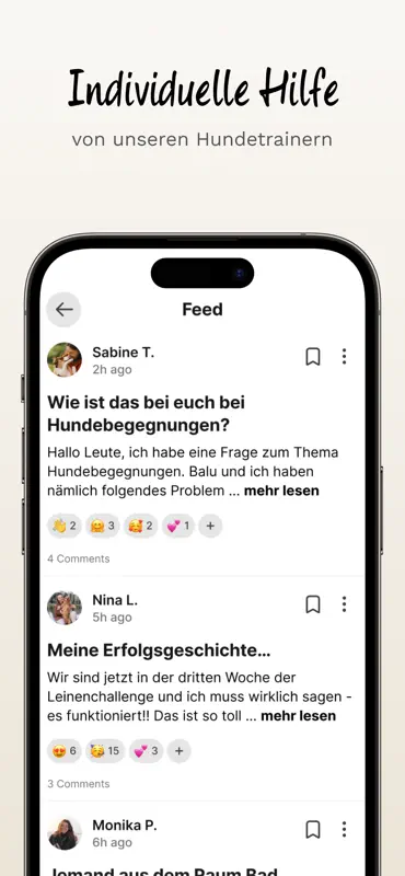 hundetraining.de screenshot 4 of 4