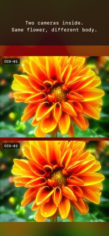 CCD — Y2K Digicam Camera Screenshot 5 of 8