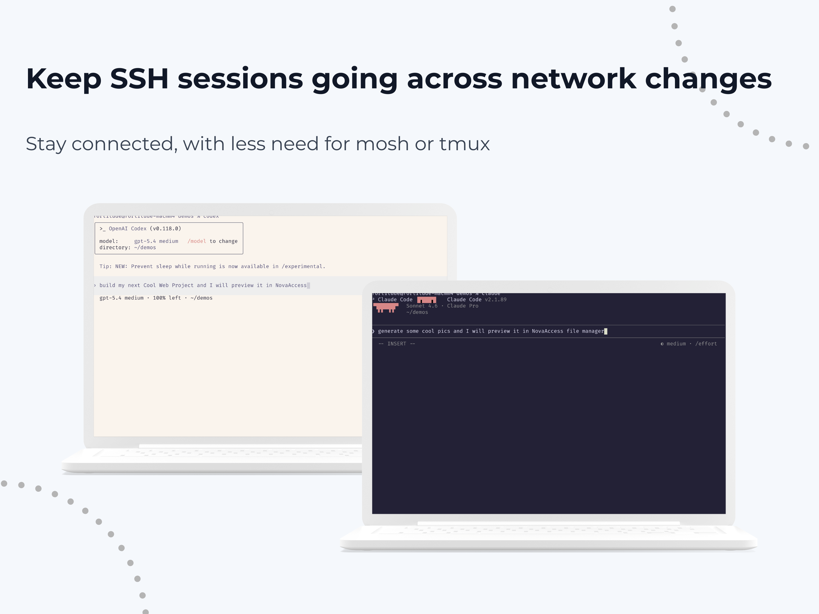 NovaAccess - Tailnet Terminal