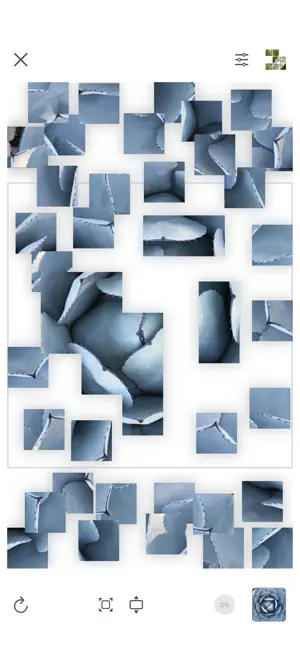 Puzzling Snapshots screenshot 4