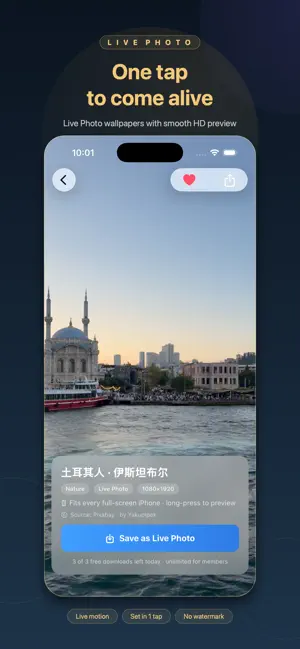 Lively Wallpaper: 4K Video screenshot 2