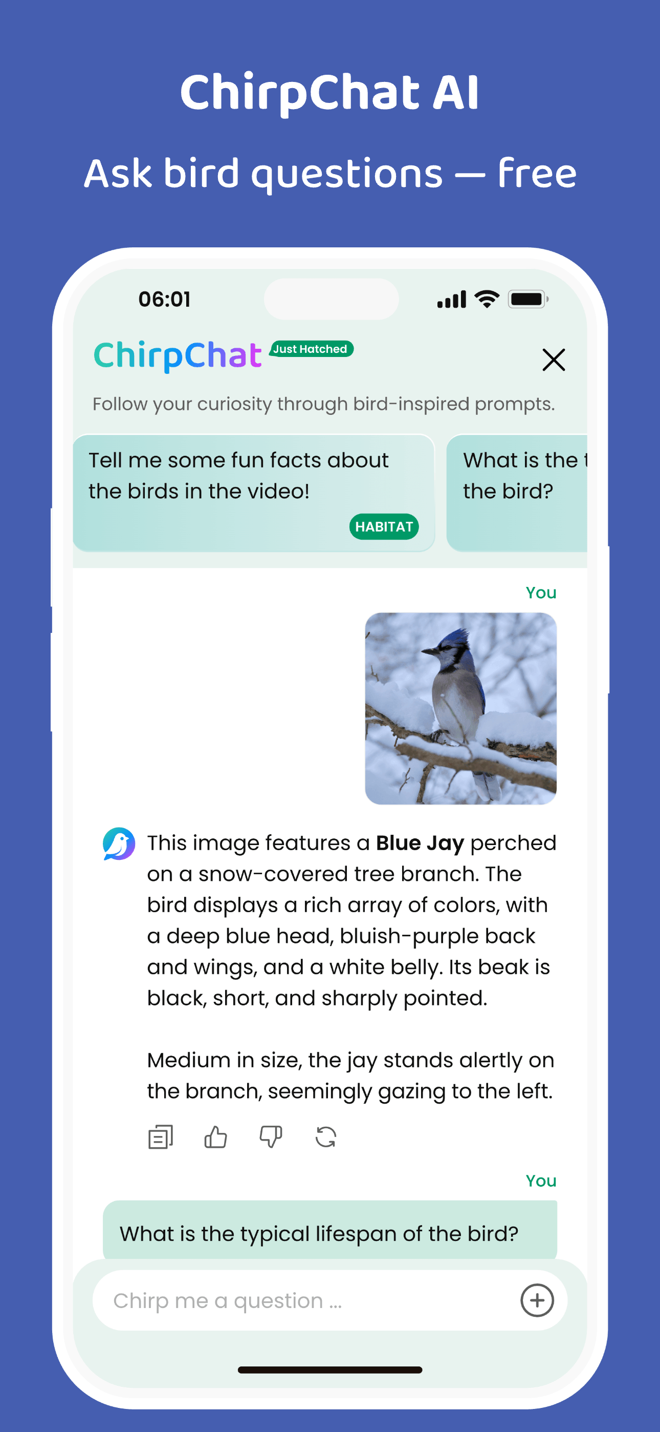 COOLFLY: Birding & Connection